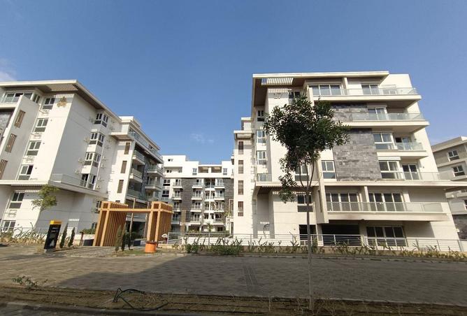 70624074 - Property Image 2