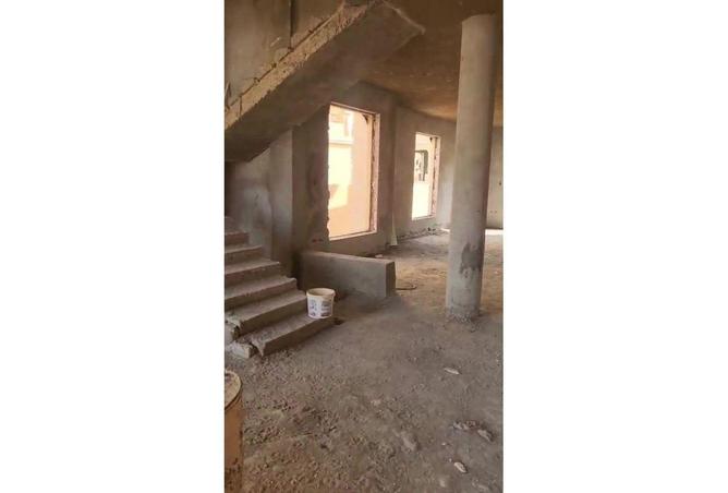 58736427 - Property Image 3