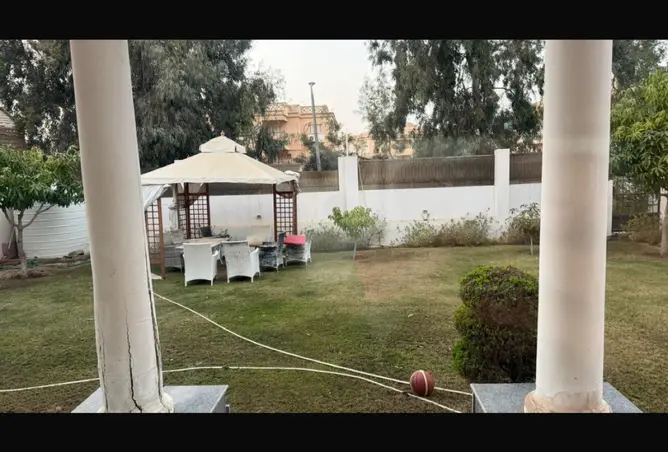 111576864 - صورة العقار 3