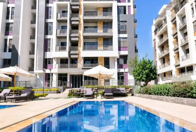 113262646 - Property Image 2