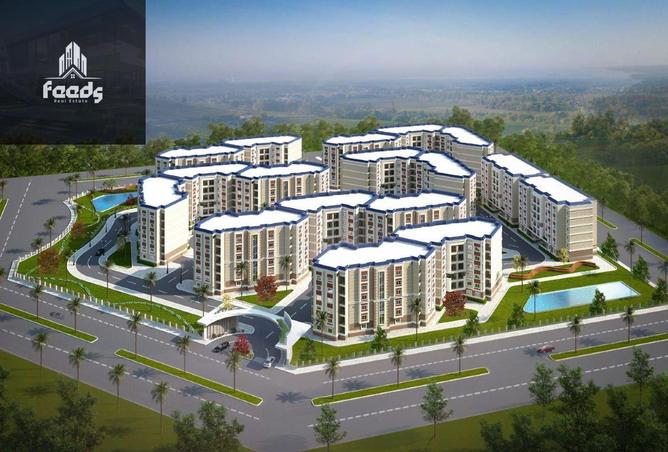 57245249 - Property Image 3