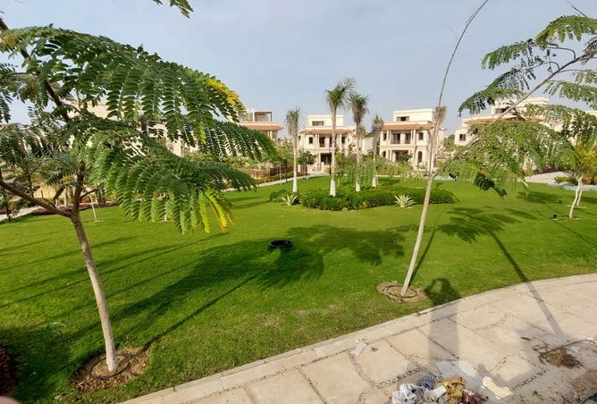 100640420 - صورة العقار 3