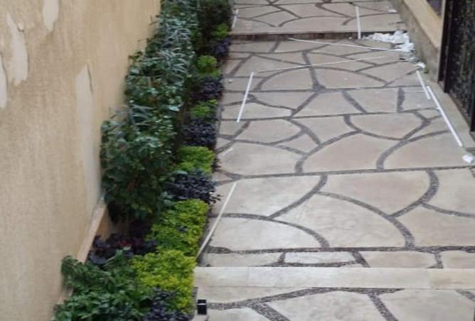 61695163 - Property Image 3