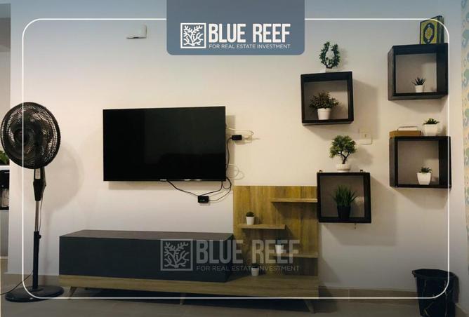 66705513 - صورة العقار 2