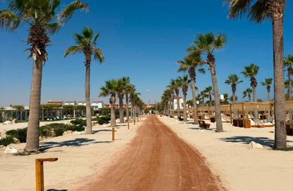 Chalet - 3 Bedrooms - 3 Bathrooms for sale in Marsa Baghush - Qesm Marsa Matrouh - North Coast Chalet - 3 Bedrooms - 3 Bathrooms for sale in Marsa Baghush - Qesm Marsa Matrouh - North Coast