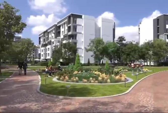 68539339 - Property Image 3