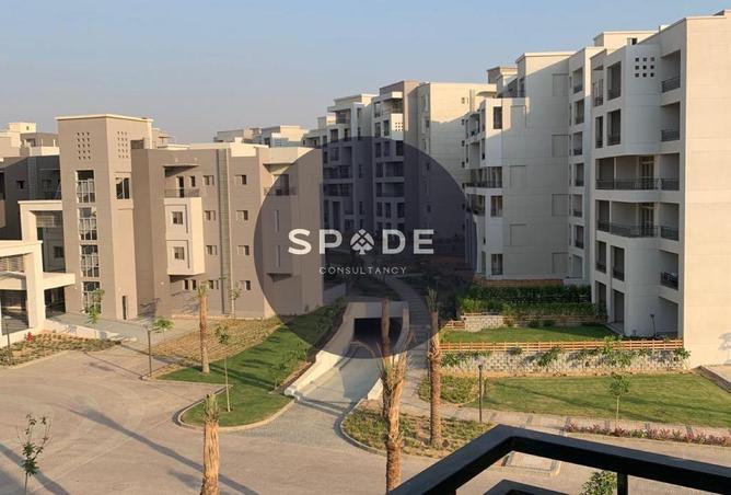 64394304 - صورة العقار 3