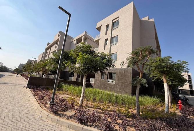 8508392 - Property Image 3