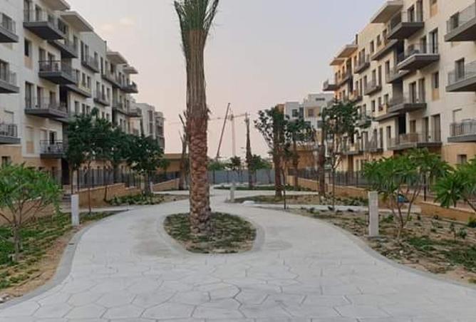 83674737 - الصورة الرئيسية للعقار