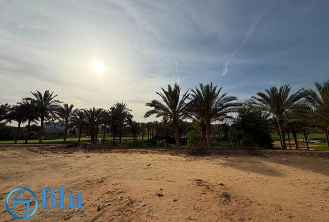 99105176 - Property Image 3