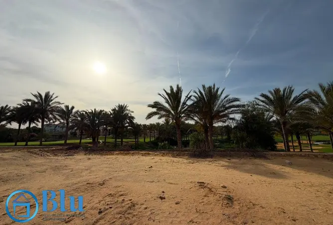 99105176 - صورة العقار 3