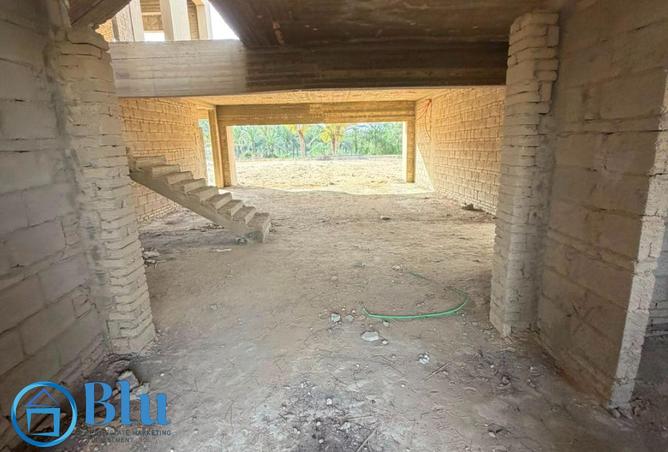 99105176 - Property Image 2