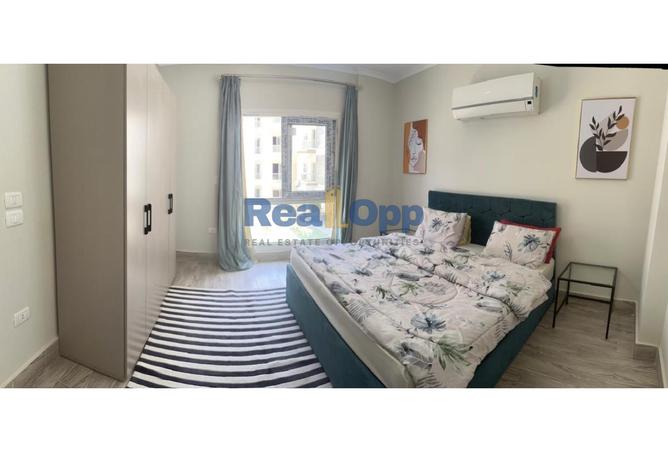 52453504 - صورة العقار 2