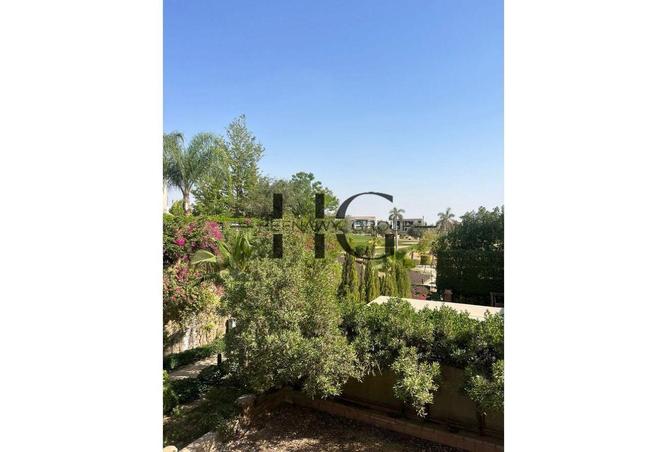 8595327 - Property Image 2