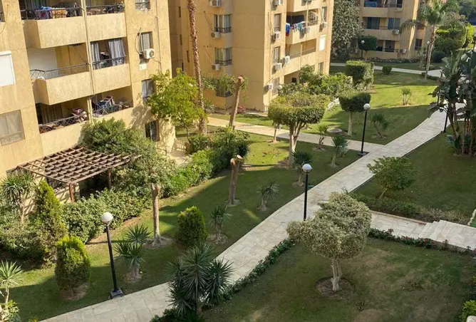 87206935 - Property Image 3