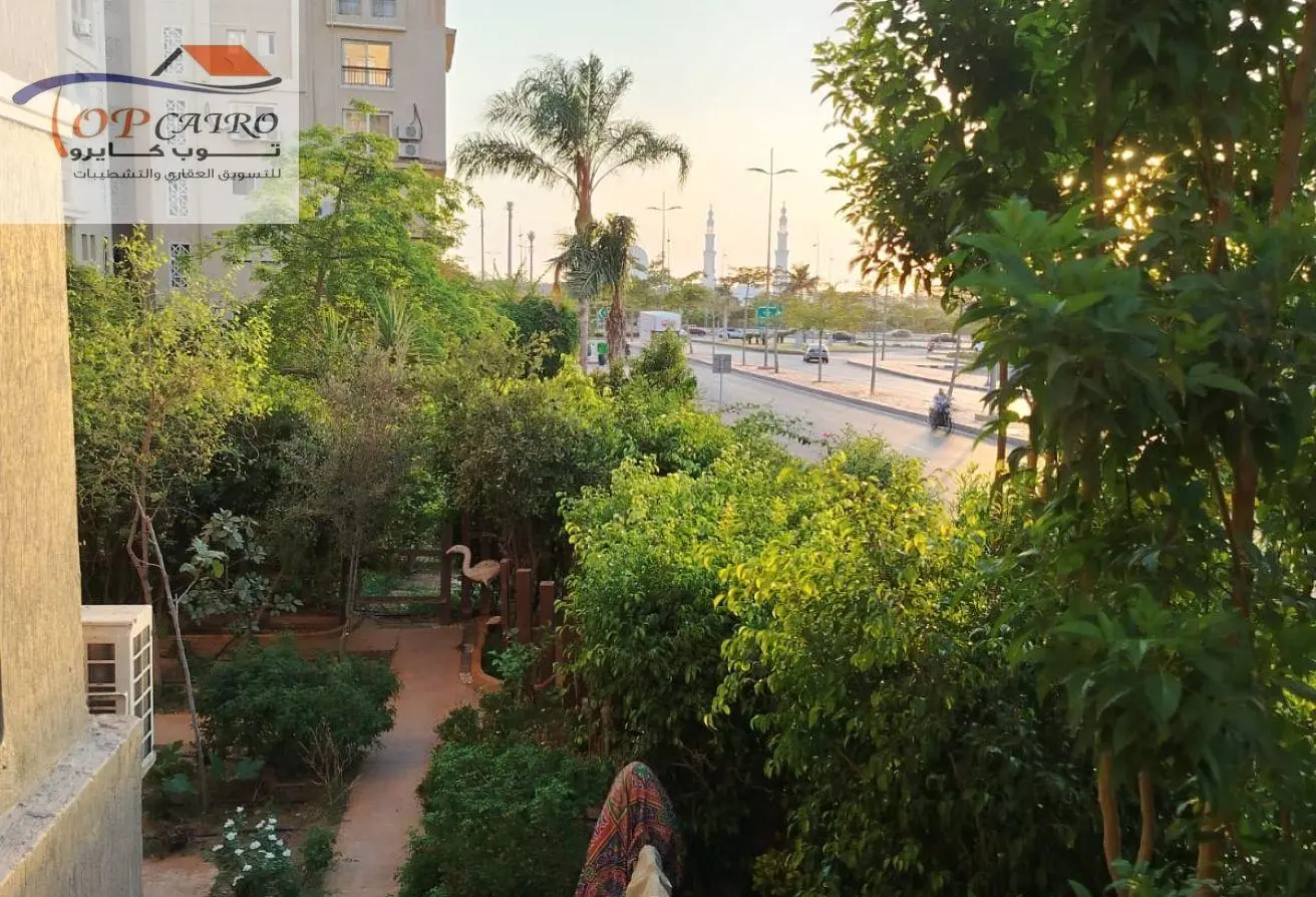 121655595 - الصورة الرئيسية للعقار