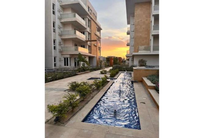 53466746 - Property Image 3