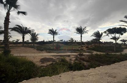 Villa - 4 Bedrooms - 6 Bathrooms for sale in New Giza - Cairo Alexandria Desert Road - 6 October City - Giza