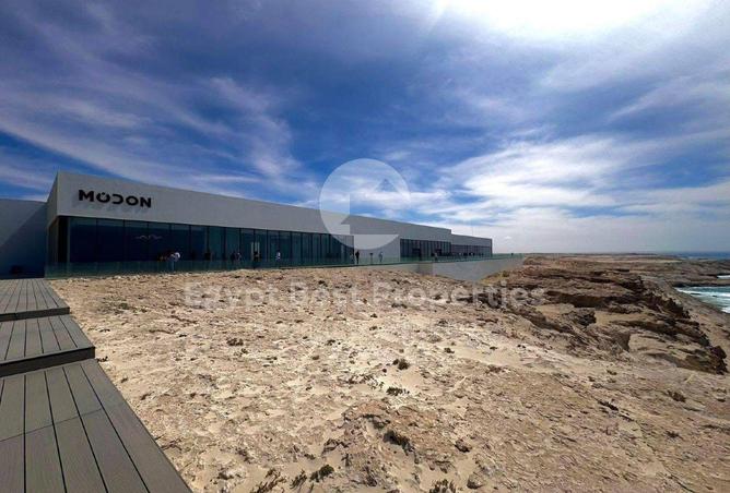 63144810 - Property Image 3