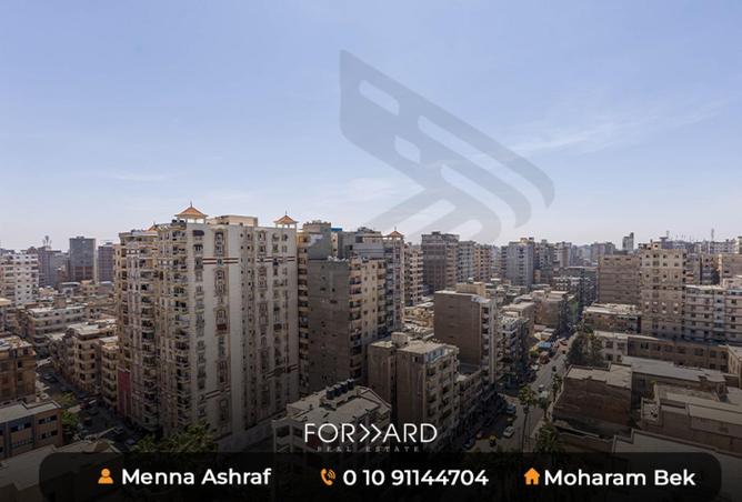 75124803 - Property Image 2