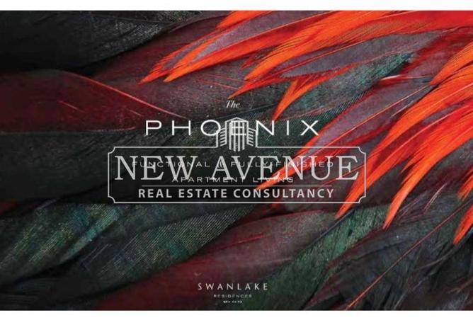 57501341 - Property Image 3