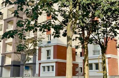 Apartment - 3 Bedrooms - 2 Bathrooms for sale in Alex West - Alexandria Compounds - Alexandria