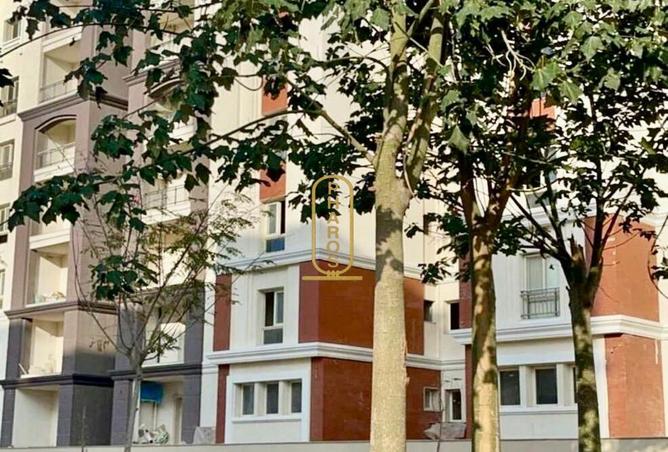 56238891 - صورة العقار 3