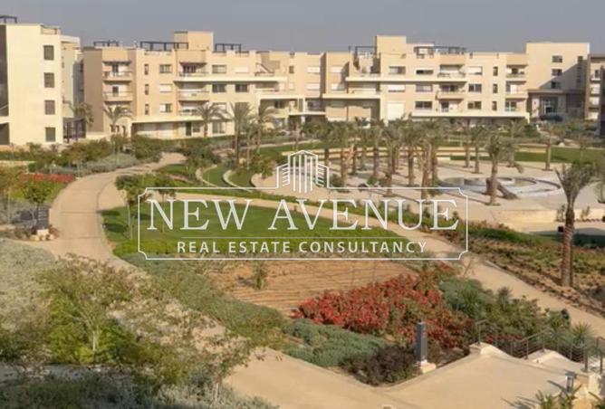 62403333 - Property Main Image