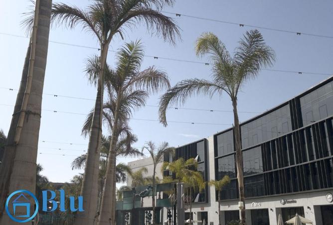 100085750 - صورة العقار 2
