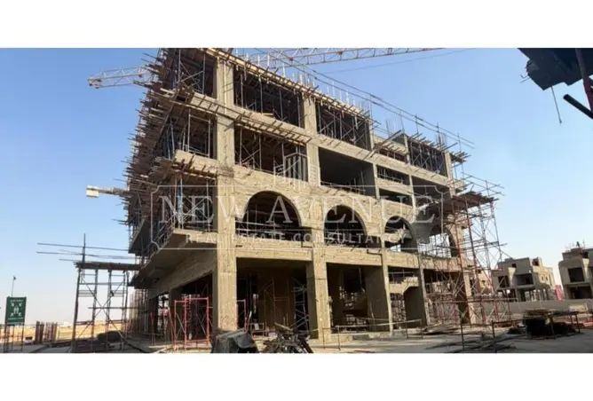 119332148 - Property Image 3