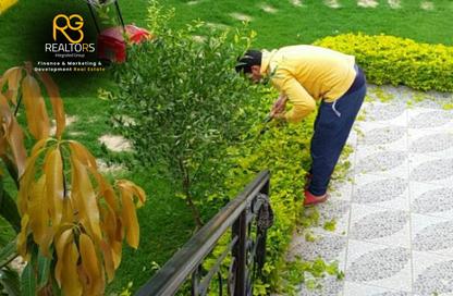 شقة - 3 غرف نوم - 1 حمام للبيع في كونتيننتال ريزيدنس - كمبوندات الشيخ زايد - الشيخ زايد - الجيزة شقة - 3 غرف نوم - 1 حمام للبيع في كونتيننتال ريزيدنس - كمبوندات الشيخ زايد - الشيخ زايد - الجيزة