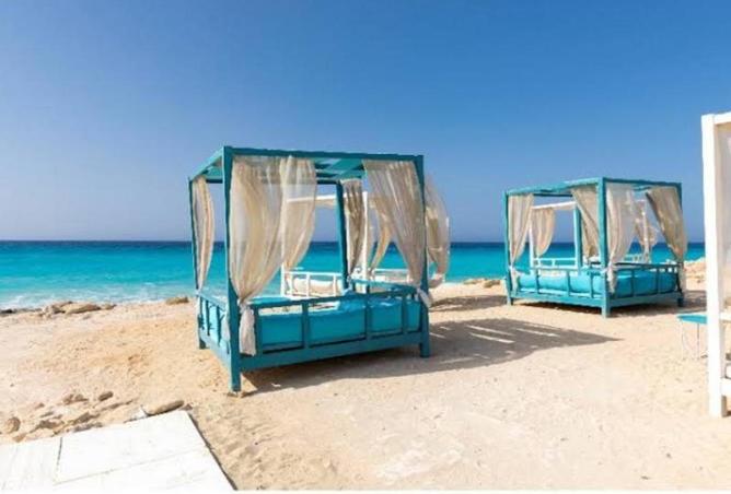 63140038 - Property Image 3