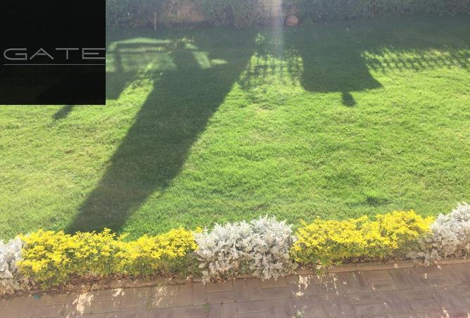 61439518 - Property Image 3