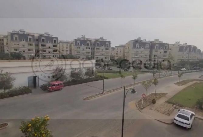 8564036 - الصورة الرئيسية للعقار