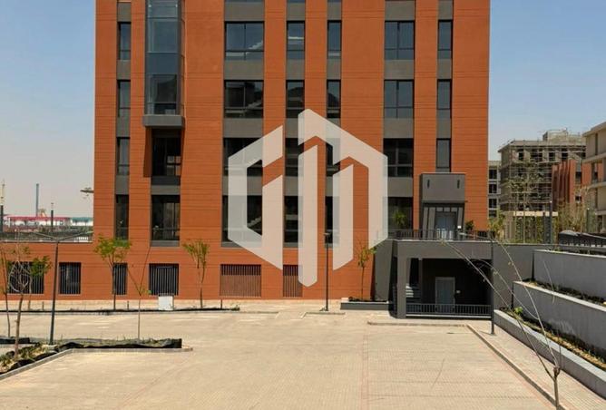81051454 - Property Image 3