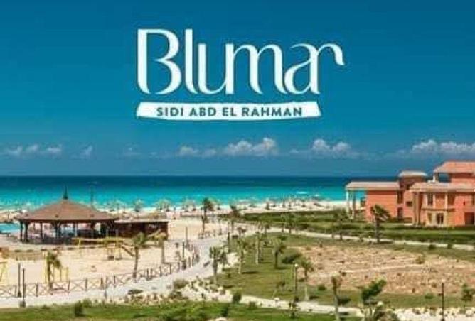 8691018 - صورة العقار 3