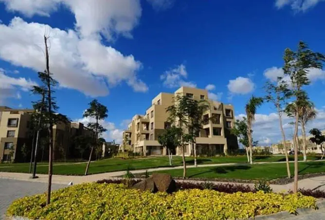 61209720 - Property Image 3