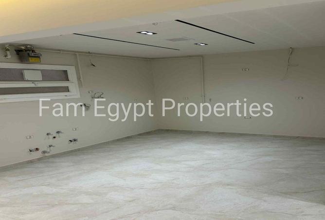 66427411 - Property Image 2