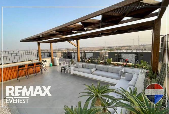 66951221 - Property Image 3