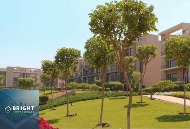 58256473 - صورة العقار 3