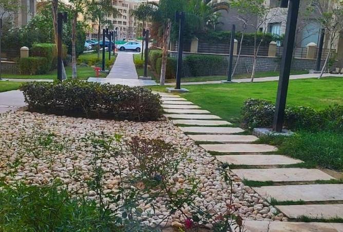 58242903 - صورة العقار 3