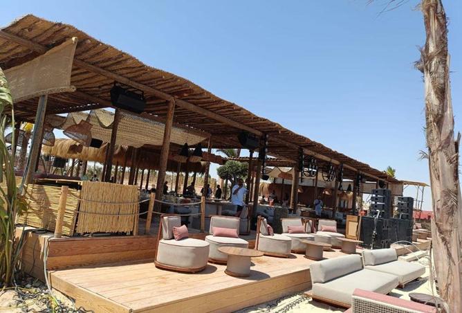 66958515 - صورة العقار 3