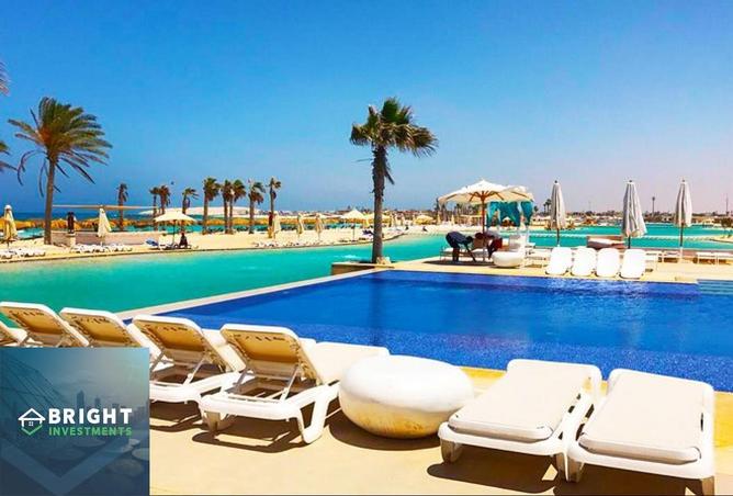 66177411 - Property Image 3