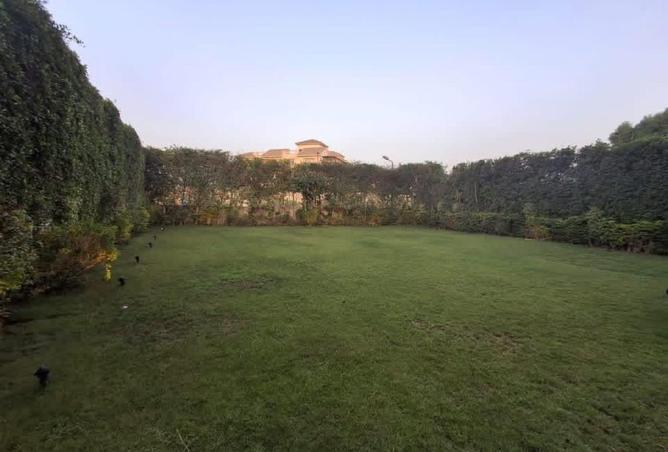 57755480 - صورة العقار 3