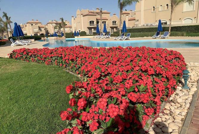 8598563 - الصورة الرئيسية للعقار