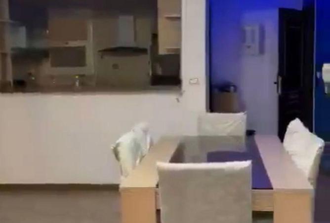 61441521 - صورة العقار 3