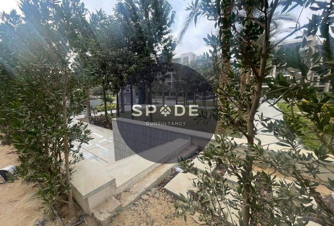 65156368 - Property Image 3