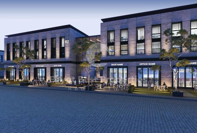 65919960 - صورة العقار 2