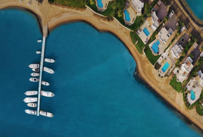 66691799 - صورة العقار 3