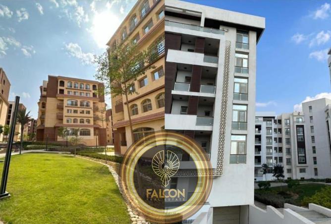 8433629 - صورة العقار 3